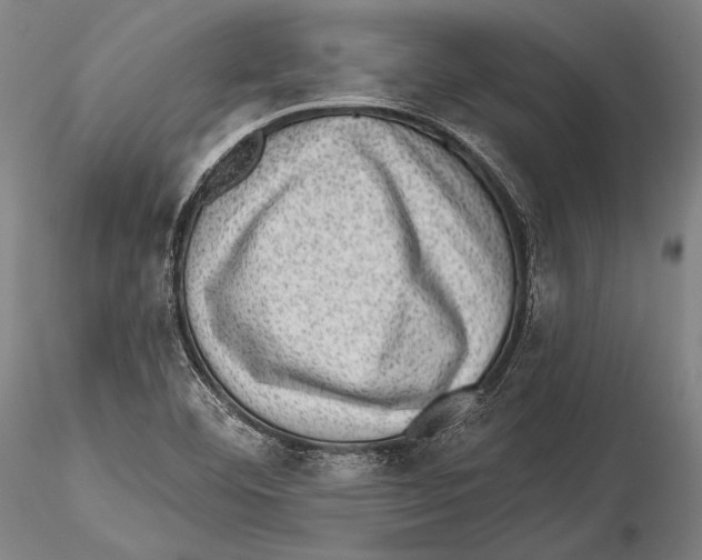 X0000115381460200912011154