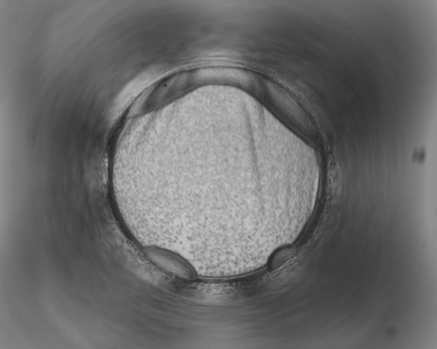 X0000115381461200912011154