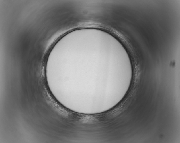 X0000115381462200912011154