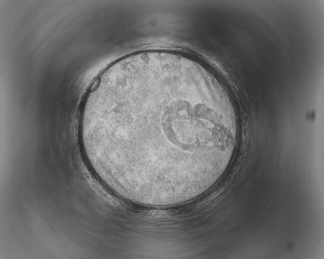 X0000115381463200912011154