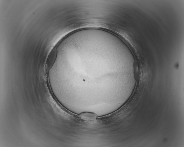 X0000115381468200912011154