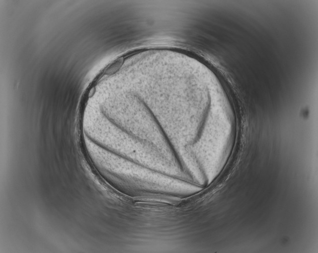 X0000115381469200912011154