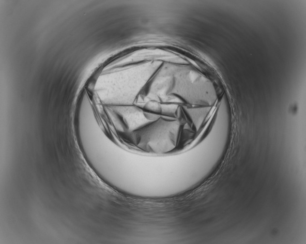 X0000115381472200912011153