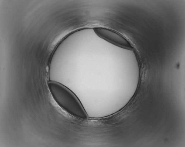 X0000115381476200912011153