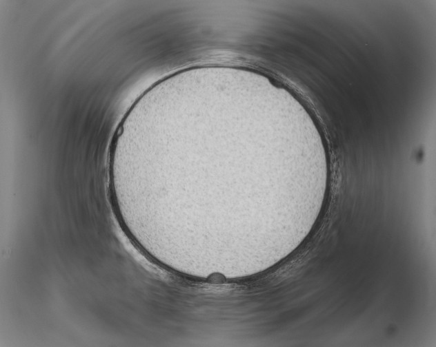 X0000115381479200912011153