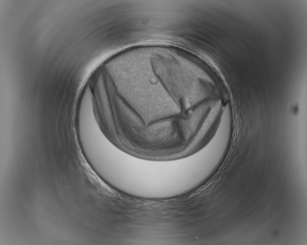 X0000115381480200912011153