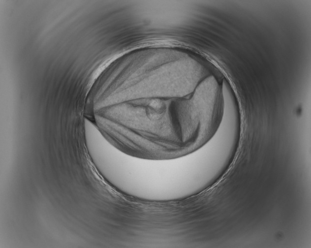 X0000115381481200912011153