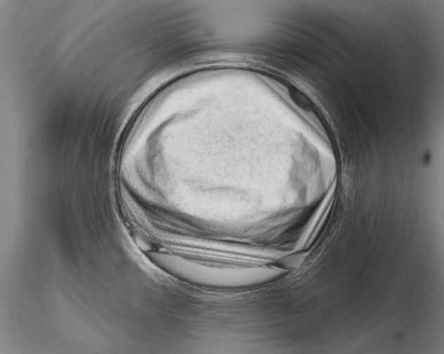 X0000115381482200912011153