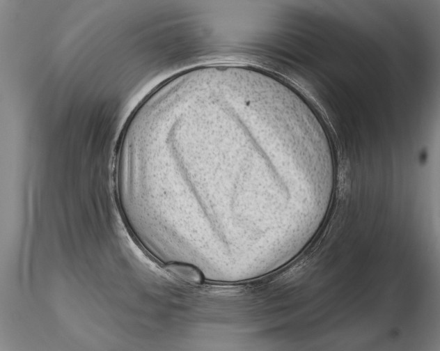 X0000115381484200912011153