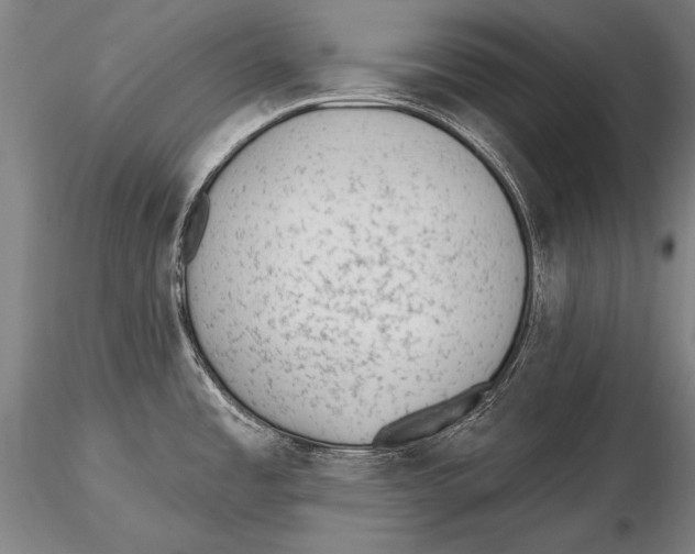 X0000115381485200912011153