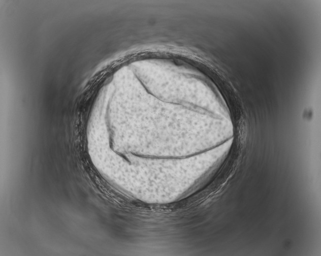 X0000115381494200912011153