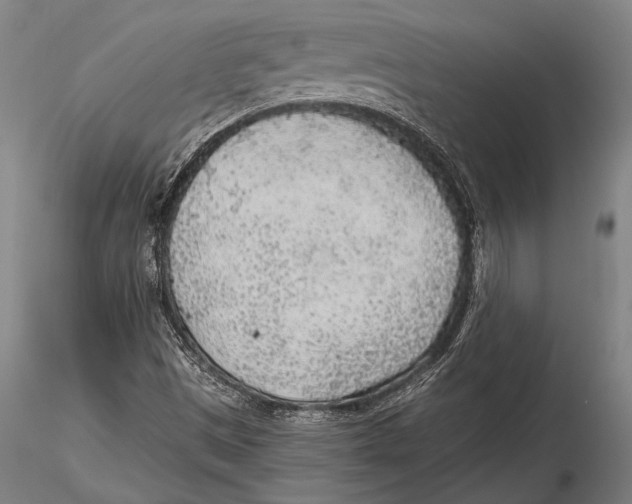 X0000115381497200912011153