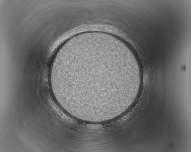 X0000115381498200912011153