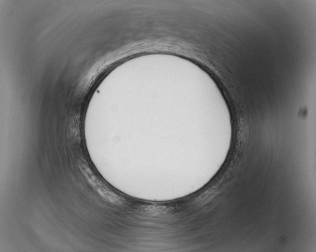 X0000115381499200912011153