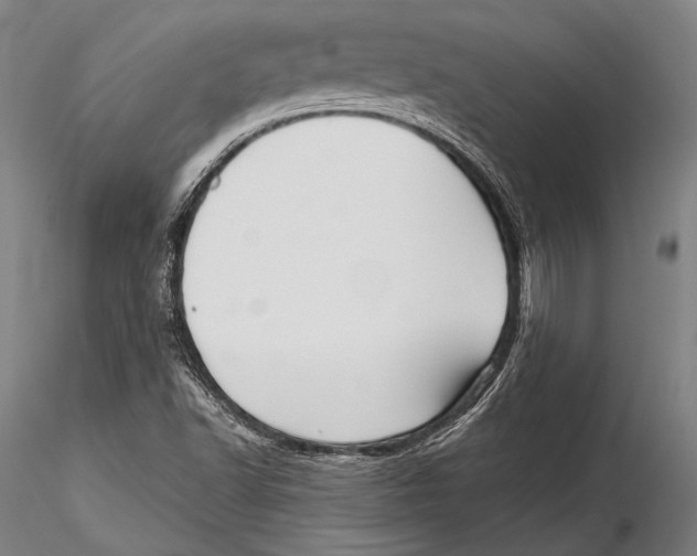 X0000115381502200912011153