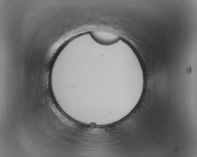 X0000115381503200912011153