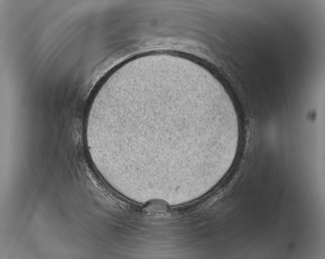 X0000115381505200912011153