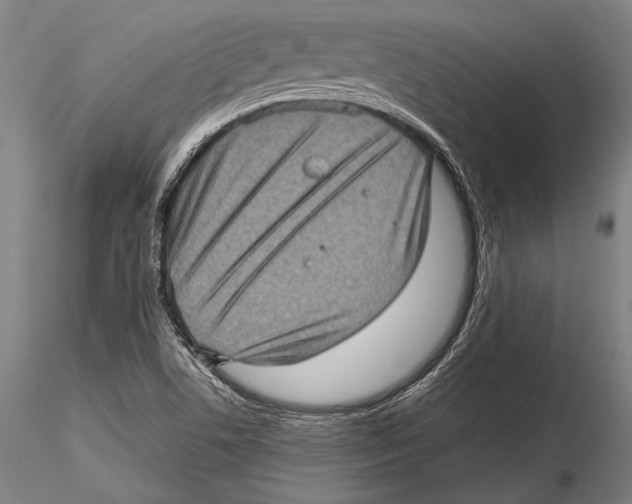 X0000115381506200912011153