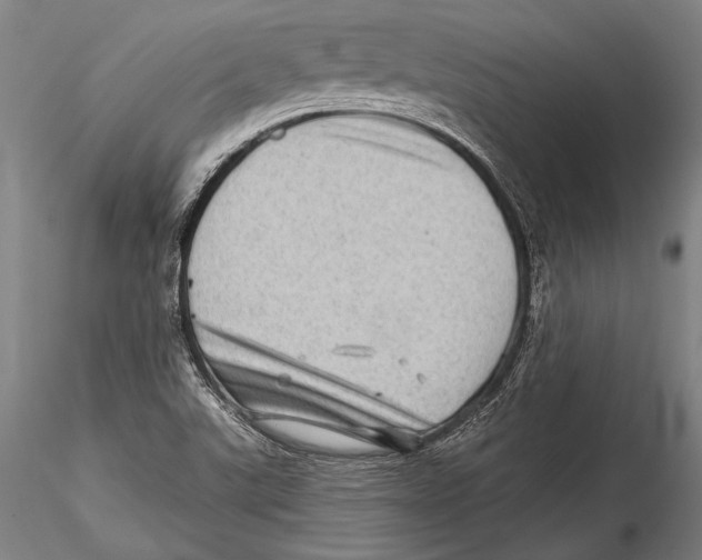 X0000115381507200912011153