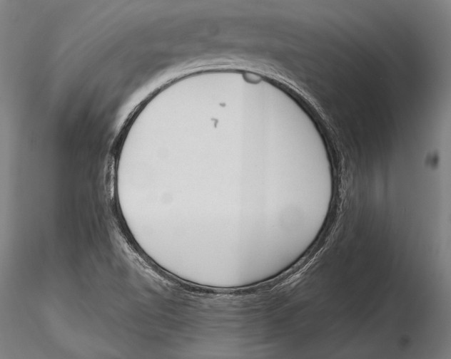 X0000115381510200912011153