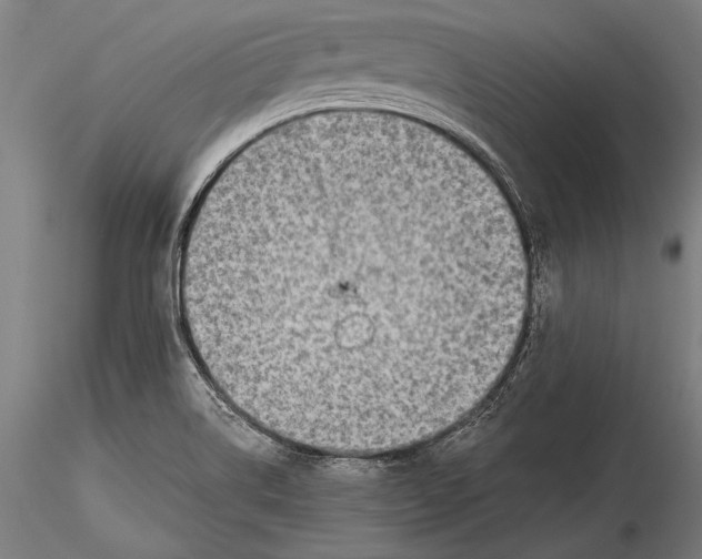 X0000115381514200912011153