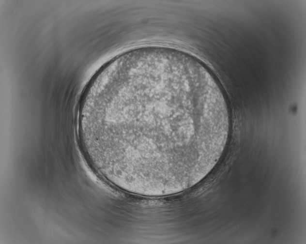 X0000115381515200912011153