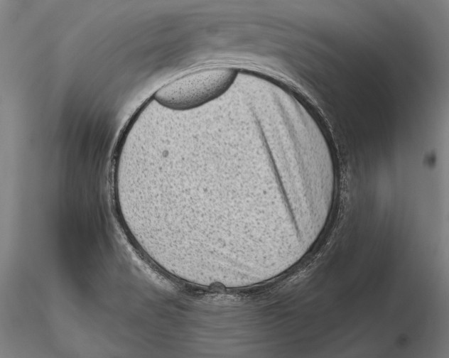 X0000115381517200912011153