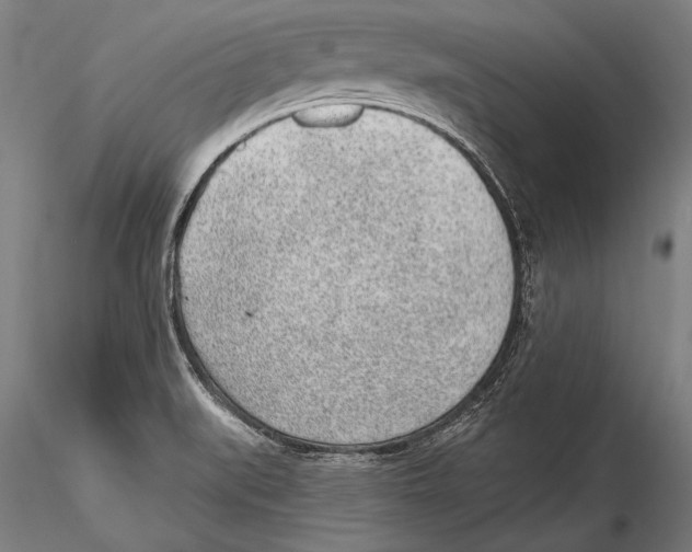 X0000115381519200912011153