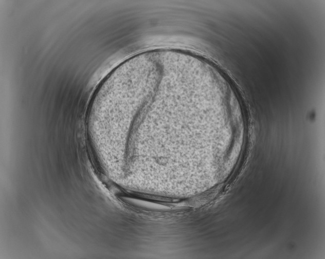 X0000115381521200912011153