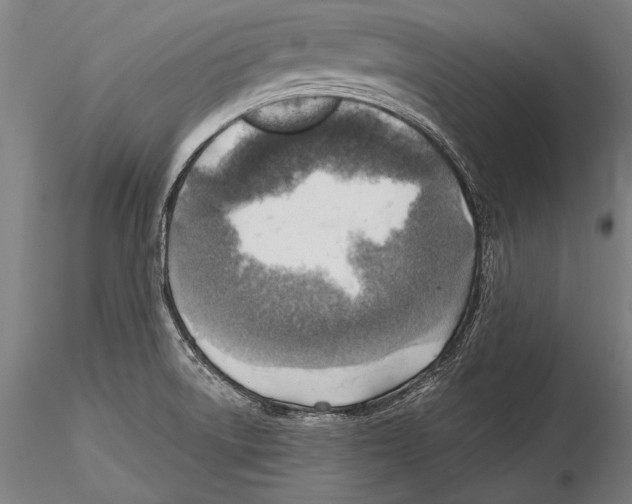 X0000115381522200912011153