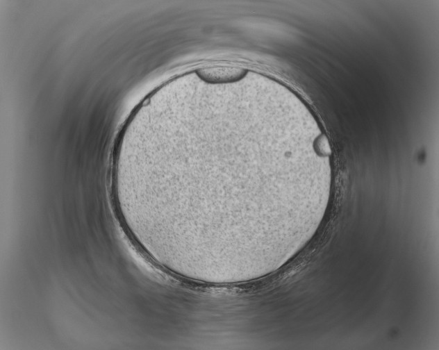 X0000115381523200912011153