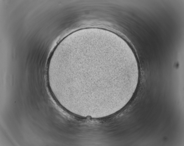 X0000115381525200912011153