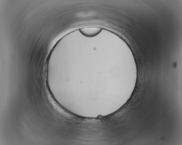 X0000115381526200912011153