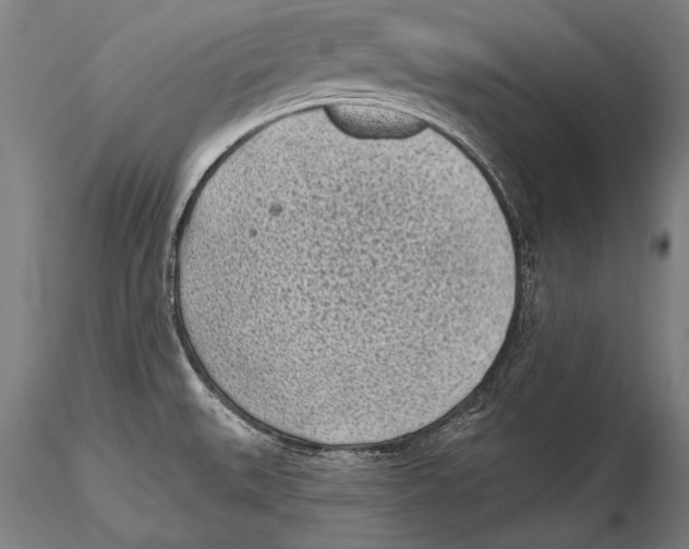 X0000115381527200912011153