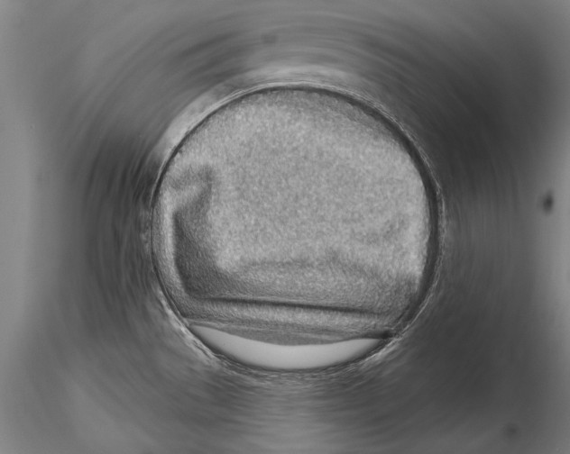 X0000115381529200912011153