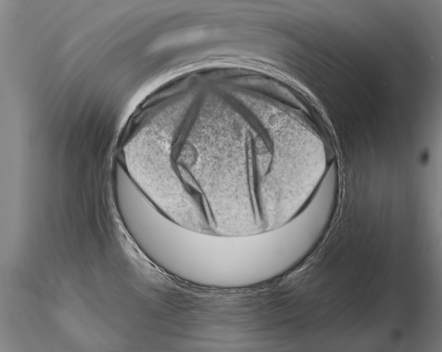 X0000115381530200912011153