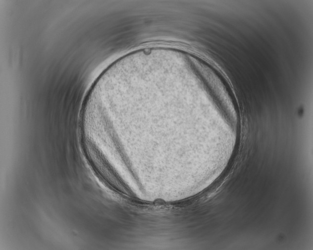 X0000115381533200912011153