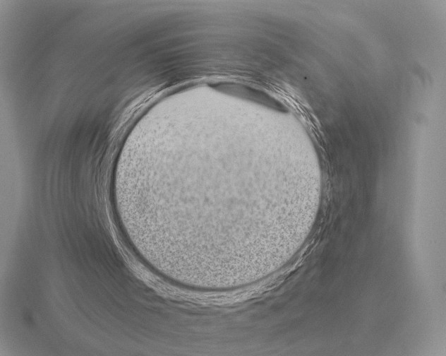 X0000115380001200912151448