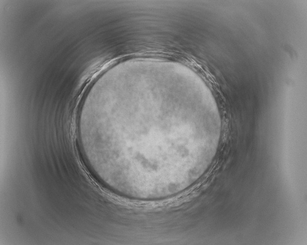 X0000115380002200912151448