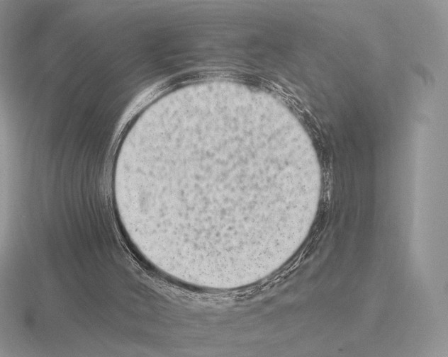 X0000115380004200912151448