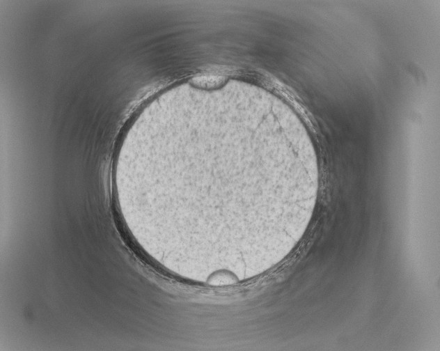 X0000115380011200912151448