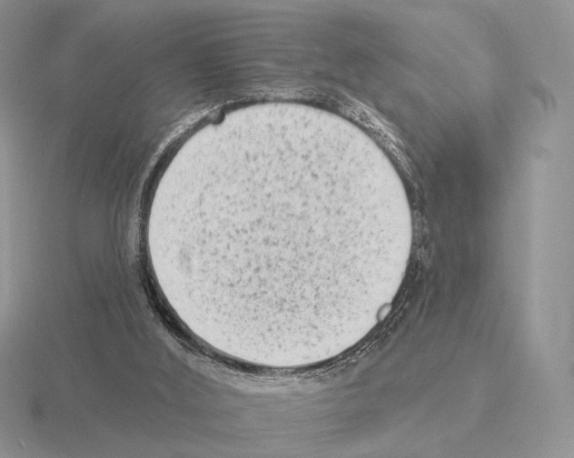 X0000115380012200912151448