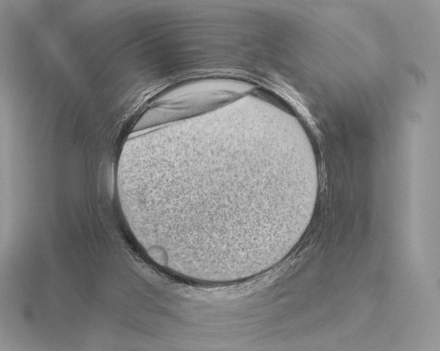 X0000115380013200912151448