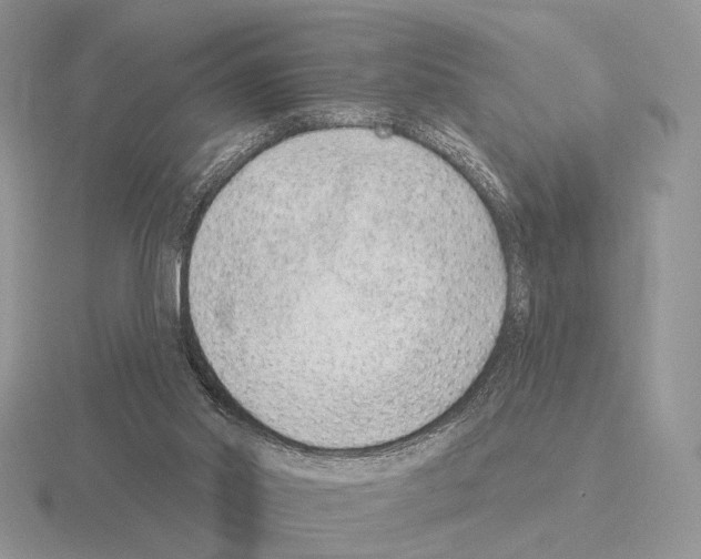 X0000115380014200912151448