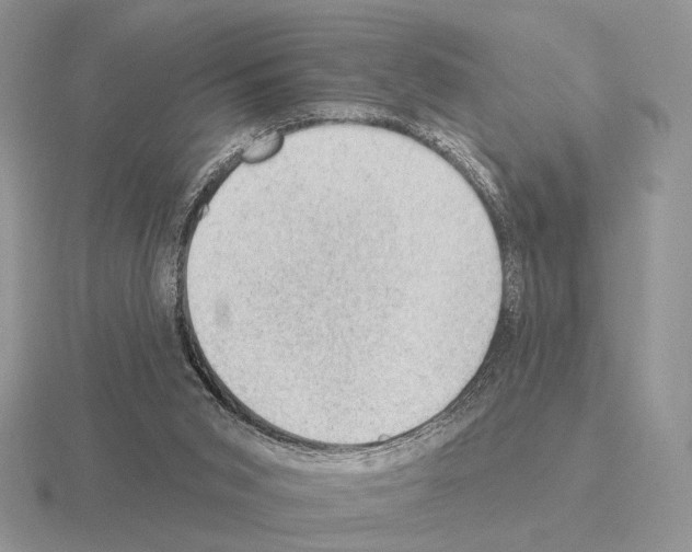 X0000115380015200912151448