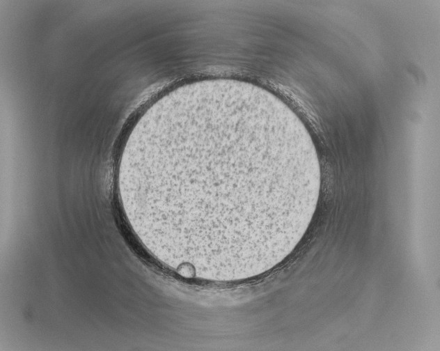 X0000115380016200912151448