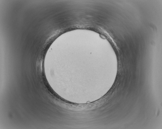 X0000115380019200912151448