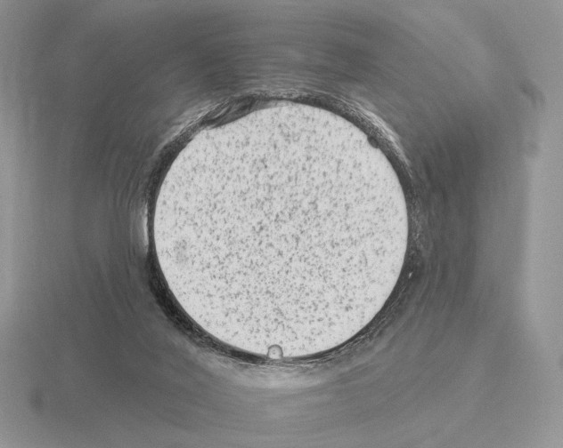 X0000115380020200912151448