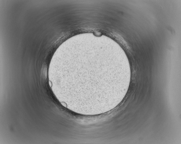 X0000115380021200912151448