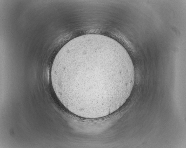 X0000115380022200912151448